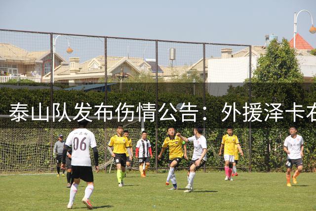 泰山队发布伤情公告：外援泽卡右侧内踝骨折，预计恢复期约为6-8周